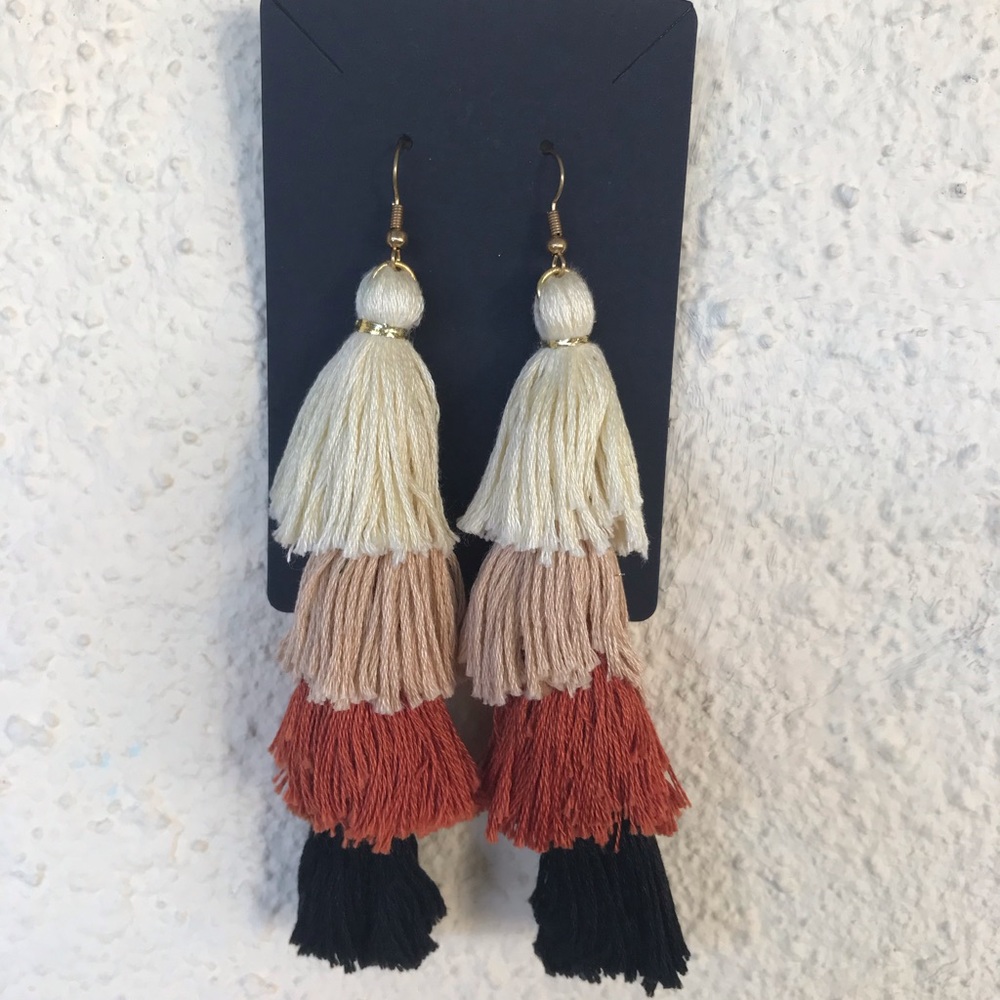 Ombré Tassel earrings
